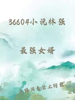 36604小说林强